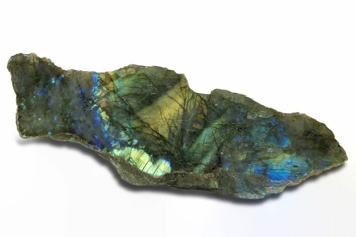 Single Side Polished Labradorite Section - Madagascar #295482